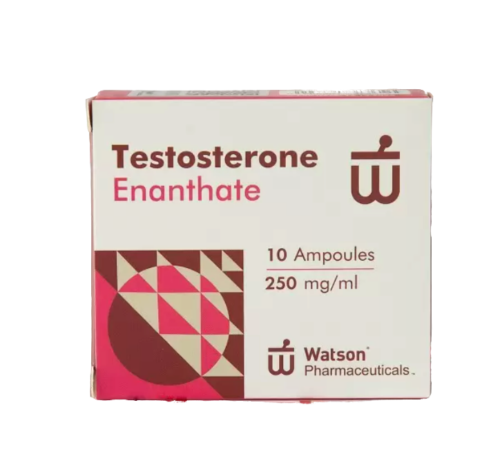1 (14) Тестостерон энантат цена